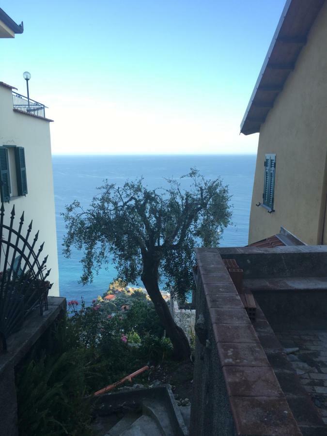 House In Grimaldi. Spectacular View Over The French Riviera! Grimaldi  Eksteriør billede
